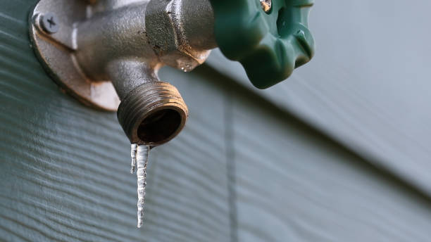 Best Clogged Drain Plumber  in Garden Grove, FL